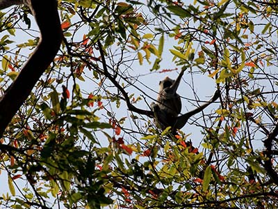 Active Adventure Tours in Sri Lanka