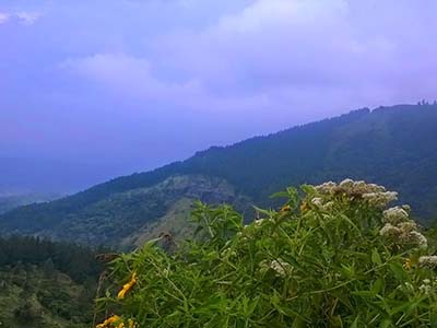 Active Adventure Tours in Sri Lanka