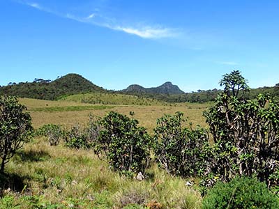 Active Adventure Tours in Sri Lanka