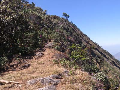 Active Adventure Tours in Sri Lanka