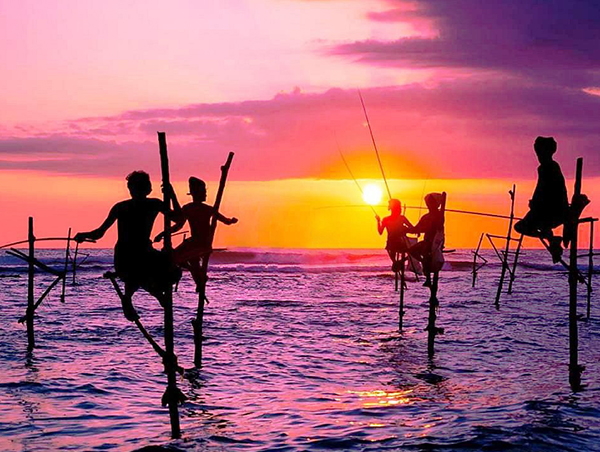 Tours in Sri Lanka