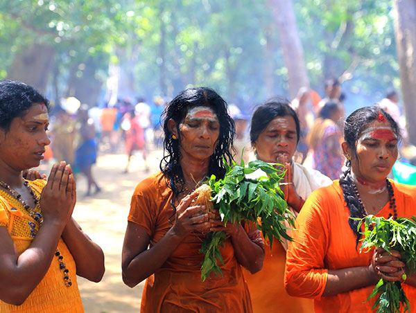 Tours in Sri Lanka
