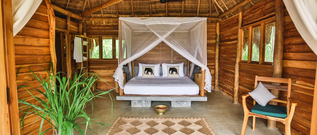 Luxury Wildlife Tours in Sri Lanka