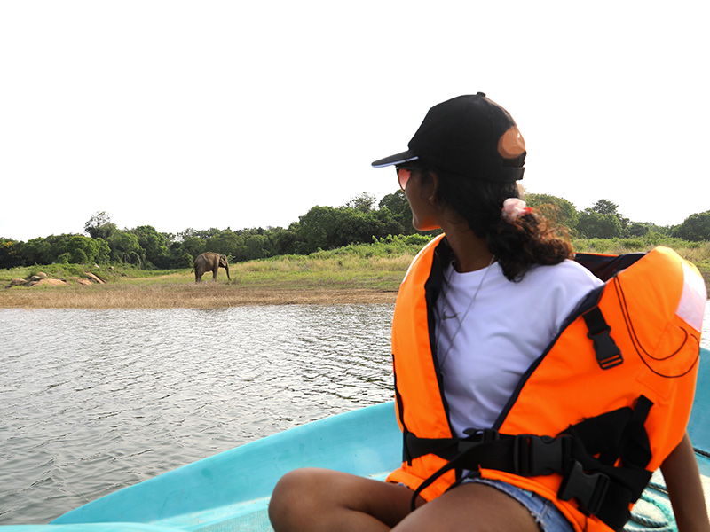 Luxury Wildlife Tours in Sri Lanka