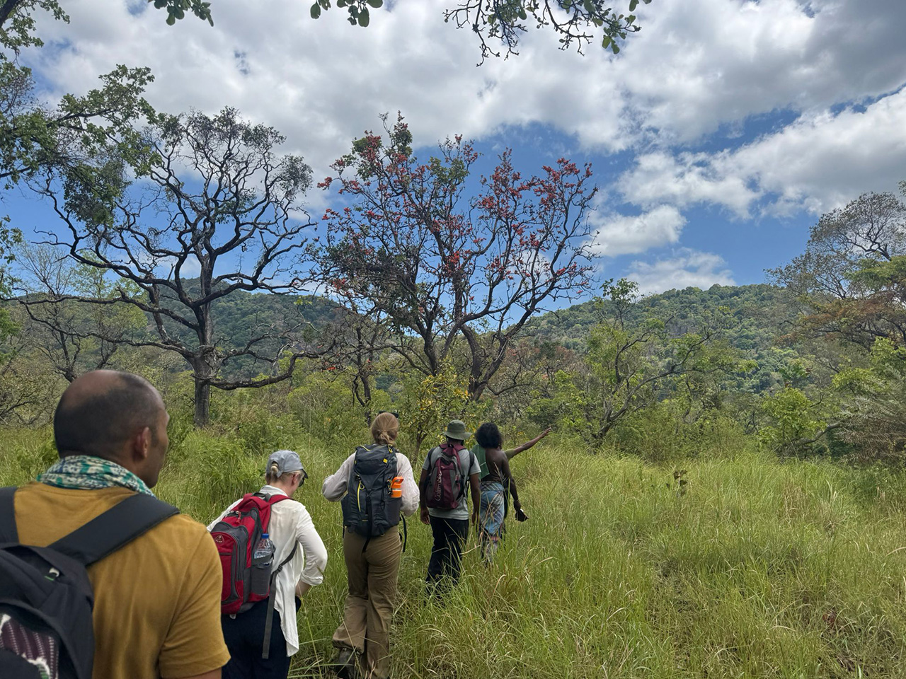 Luxury Wildlife Tours in Sri Lanka