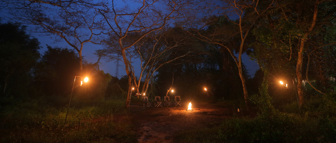Luxury Wildlife Tours in Sri Lanka