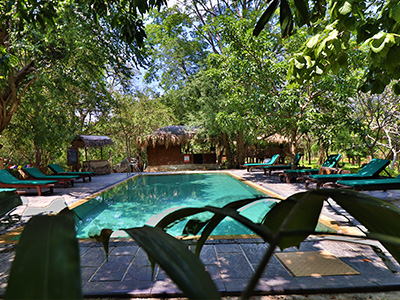 Ultimate Wildlife Tours in Sri Lanka