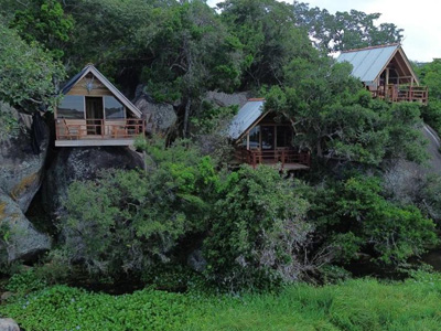 Ultimate Wildlife Tours in Sri Lanka