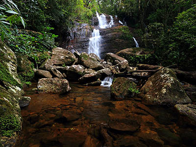 2 Weeks Wildlife & Birding Itinerary in Sri Lanka