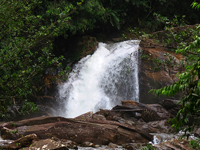 2 Weeks Wildlife & Birding Itinerary in Sri Lanka