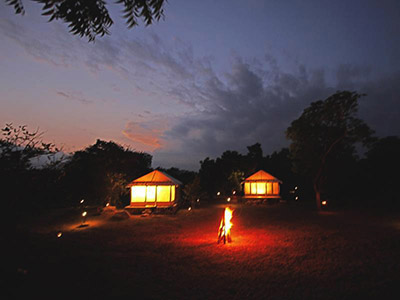 2 Weeks Wildlife & Birding Itinerary in Sri Lanka
