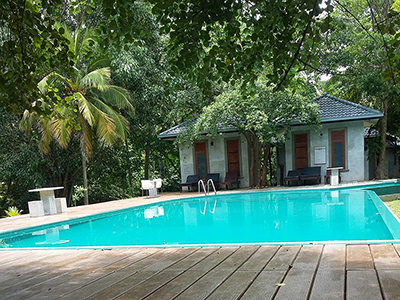 2 Weeks Wildlife & Birding Itinerary in Sri Lanka