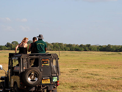 2 Weeks Wildlife & Birding Itinerary in Sri Lanka