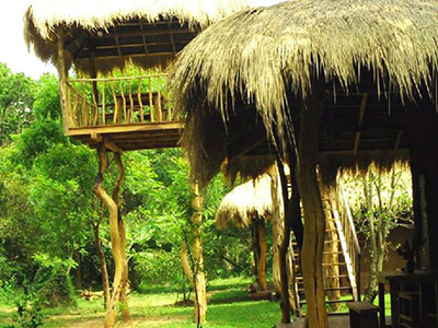 2 Weeks Wildlife & Birding Itinerary in Sri Lanka