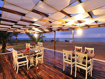 2 Weeks Wildlife & Birding Itinerary in Sri Lanka