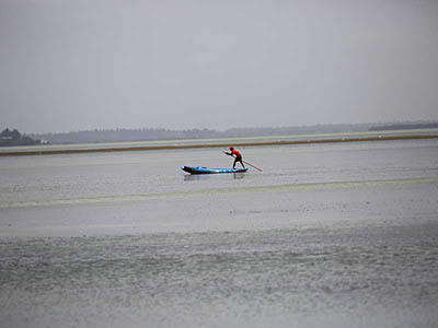 2 Weeks Wildlife & Birding Itinerary in Sri Lanka
