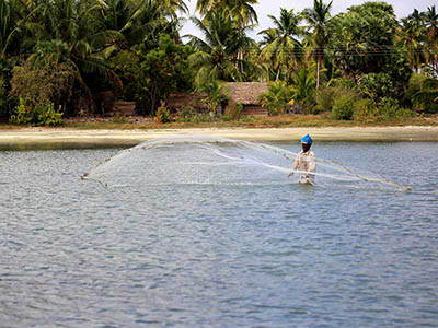 2 Weeks Wildlife & Birding Itinerary in Sri Lanka