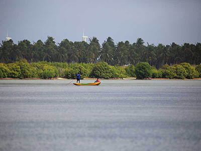 2 Weeks Wildlife & Birding Itinerary in Sri Lanka