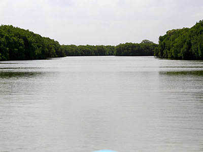 2 Weeks Wildlife & Birding Itinerary in Sri Lanka