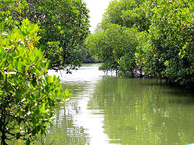 2 Weeks Wildlife & Birding Itinerary in Sri Lanka