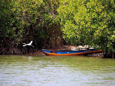 2 Weeks Wildlife & Birding Itinerary in Sri Lanka