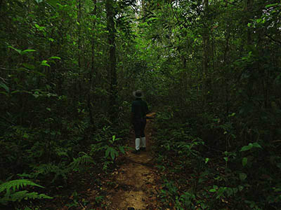 2 Weeks Wildlife & Birding Itinerary in Sri Lanka