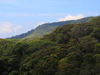 2 Weeks Wildlife & Birding Itinerary in Sri Lanka