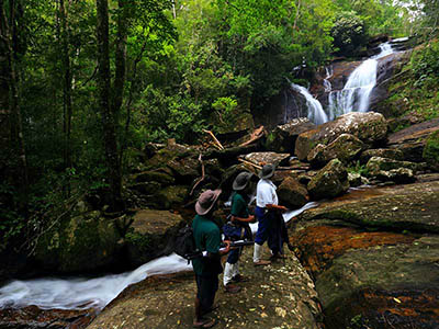 2 Weeks Wildlife & Birding Itinerary in Sri Lanka