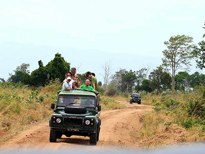 2 Weeks Wildlife & Birding Itinerary in Sri Lanka