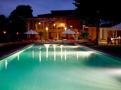 Birding & Wildlife Tours in Sri Lanka