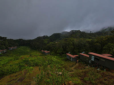Birding & Wildlife Tours in Sri Lanka