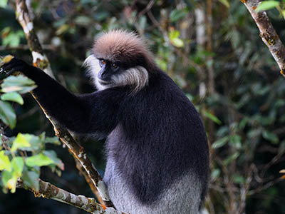 Birding & Wildlife Tours in Sri Lanka
