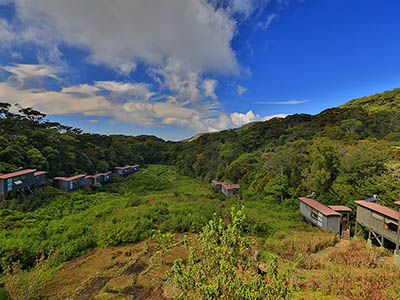Birding & Wildlife Tours in Sri Lanka