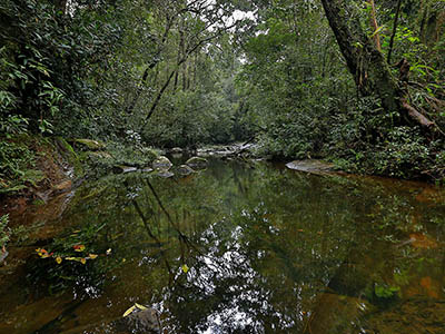 Birding & Wildlife Tours in Sri Lanka