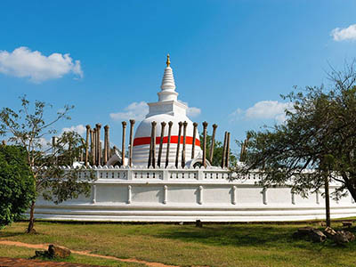 Wildlife & Bird Watching Tour in Sri Lanka