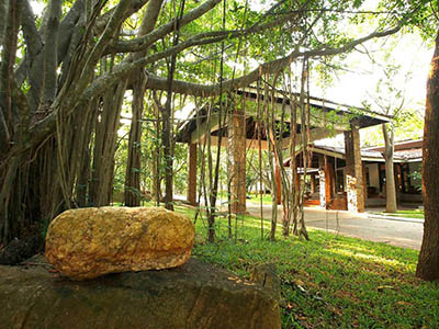 Wildlife & Bird Watching Tour in Sri Lanka