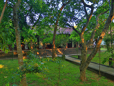 Wildlife & Bird Watching Tour in Sri Lanka