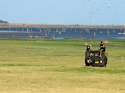 Wildlife & Bird Watching Tour in Sri Lanka