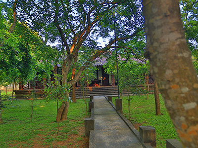 10 Days Wildlife & Bird Watching Tour itinerary in Sri Lanka