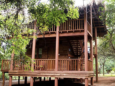 10 Days Wildlife & Bird Watching Tour itinerary in Sri Lanka
