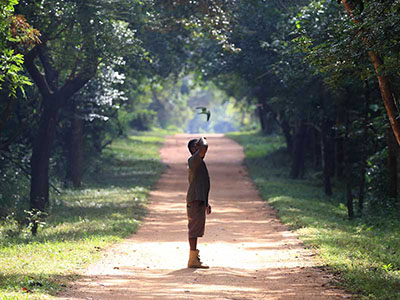 10 Days Wildlife & Bird Watching Tour itinerary in Sri Lanka