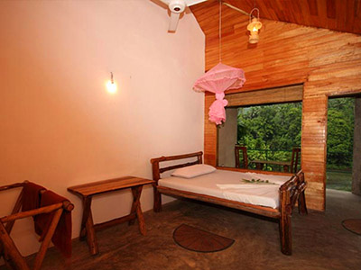 10 Days Wildlife & Bird Watching Tour itinerary in Sri Lanka