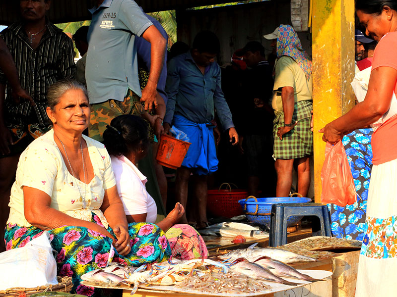 Budget Tours to Maldives and Sri Lanka