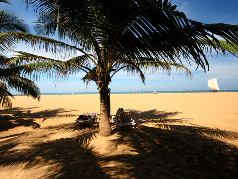 Budget Tours to Maldives and Sri Lanka