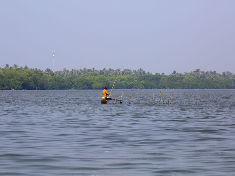 Budget Tours to Maldives and Sri Lanka