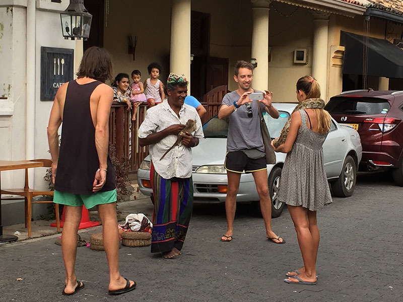 Budget Tours to Maldives and Sri Lanka