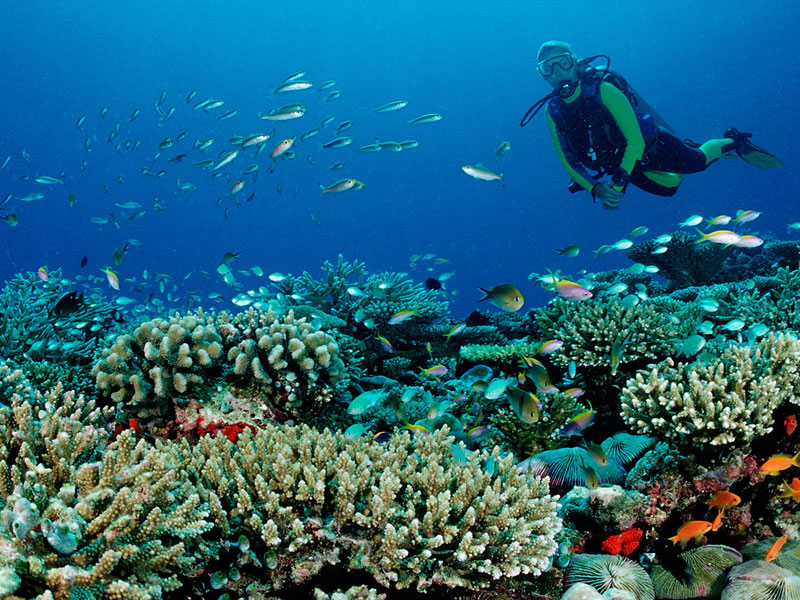 Budget Tours to Maldives and Sri Lanka