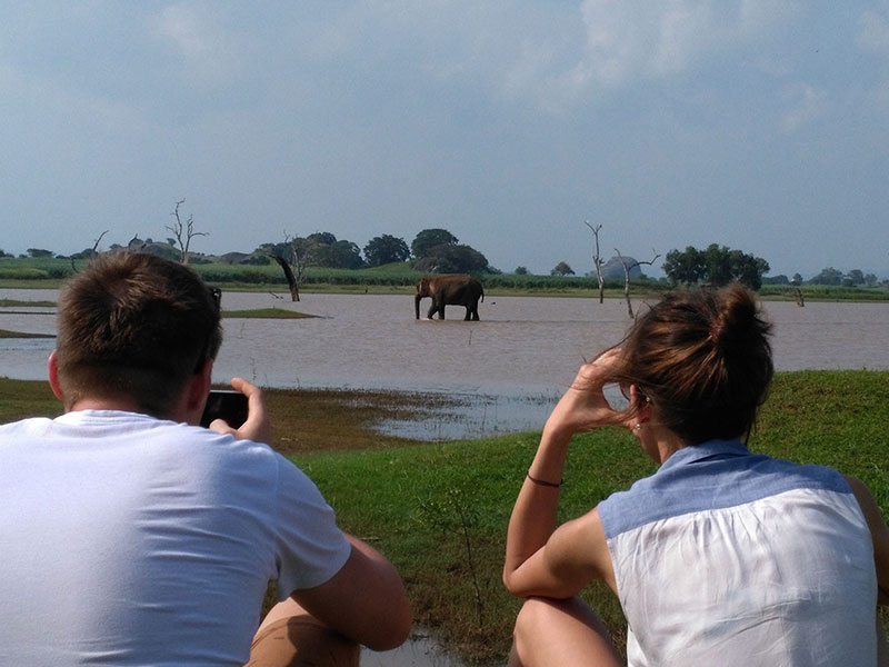 Sri Lanka three weeks itinerary