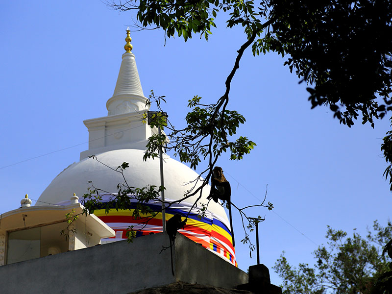 Sri Lanka three weeks itinerary
