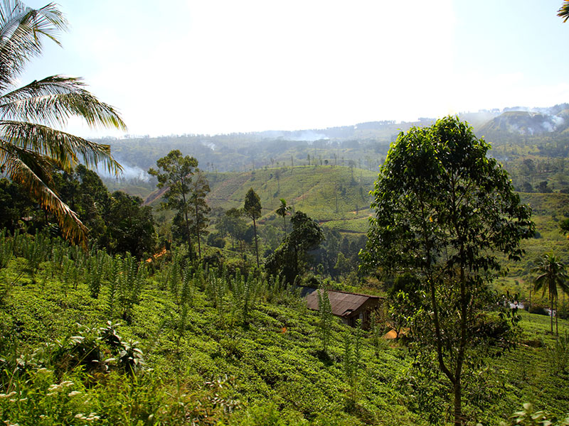 Sri Lanka three weeks itinerary